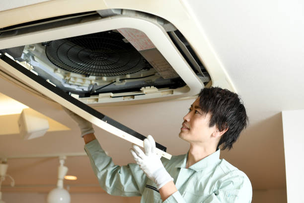Best Affordable HVAC Duct Cleaning  in Safety Harbor, FL