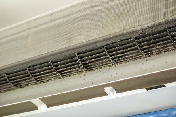  Safety Harbor, FL Airduct Cleaning Pros